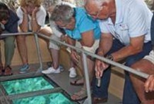 Glass Bottom Boat Tour 